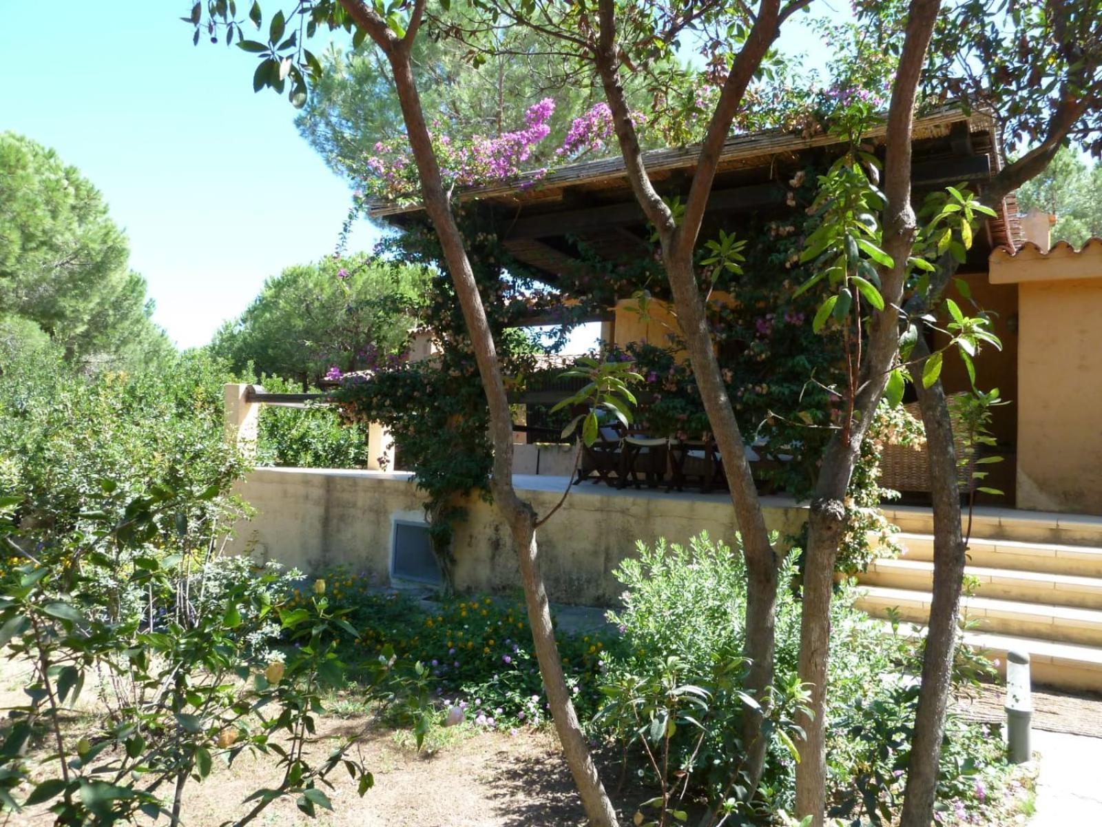 Villa Domus Antonella à Cap Coda Cavallo Extérieur photo